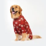Vêtement d'hiver pour animaux