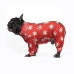 Motif mignon pour animaux