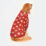 Pyjama chaud pour animaux
